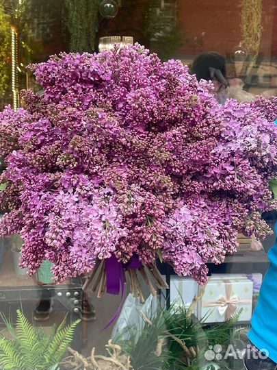 Сирень Букеты из Сирени с доставкой 24/7