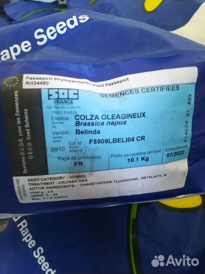 Семена гибридов рапса Видер кл, Билдер