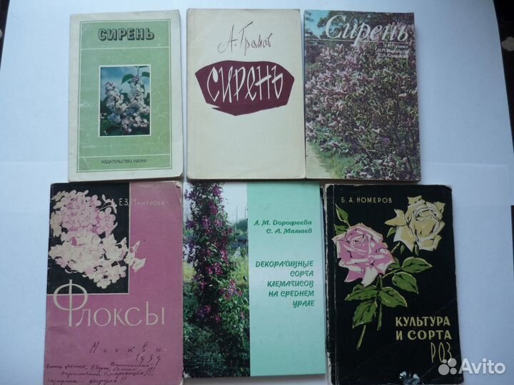 Громов А. Сирень 1963