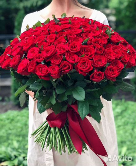Розы гиганты 140 150 160 170 180 200