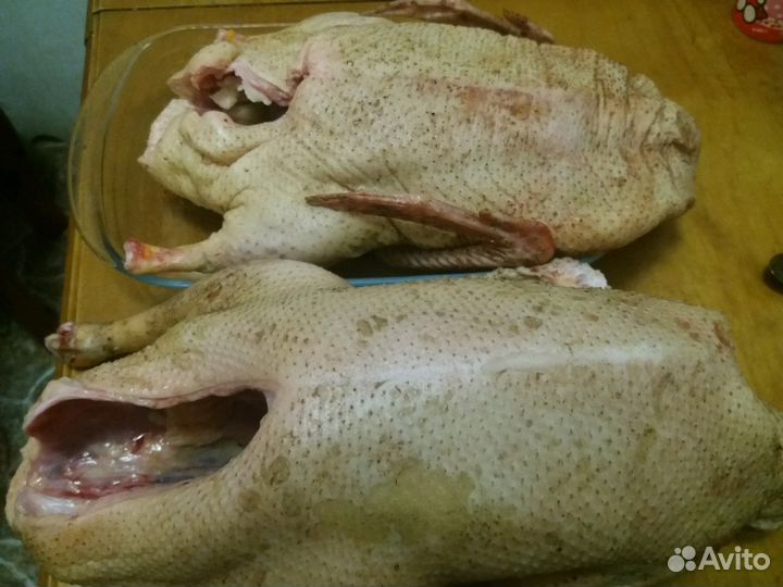 Утка на мясо