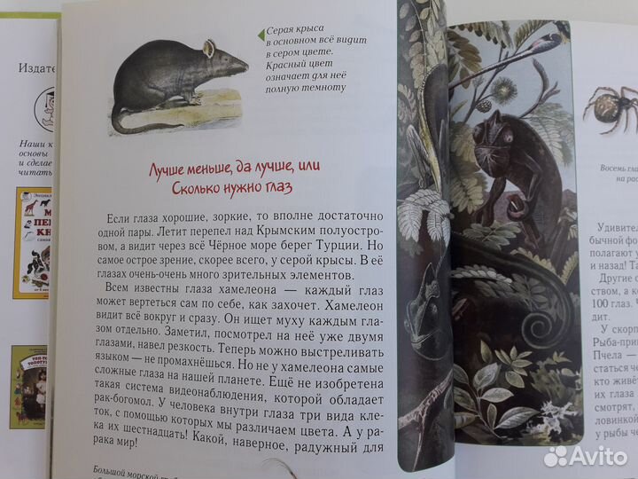 Занимательная биология