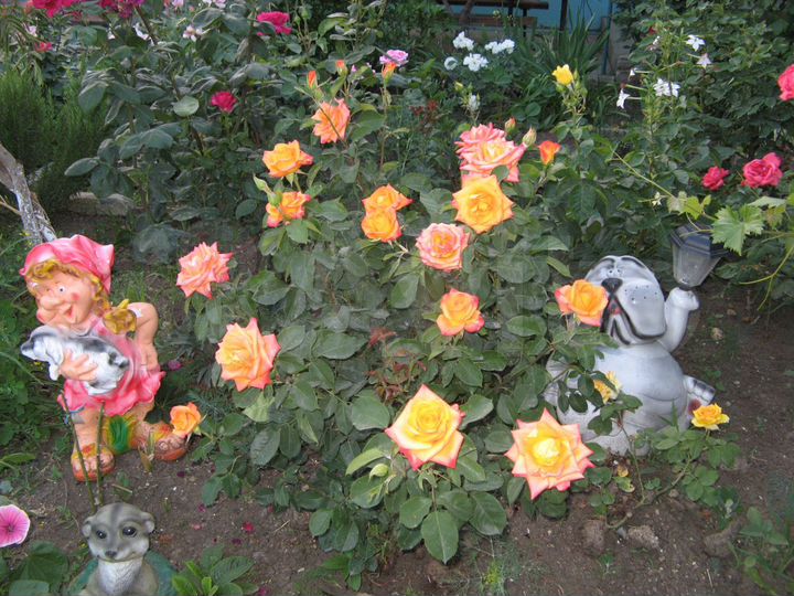 Комната 25 м² в 1-к., 1/2 эт.