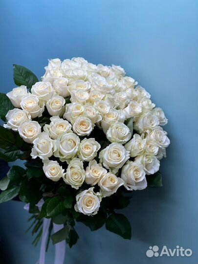 Белая роза прекрасная