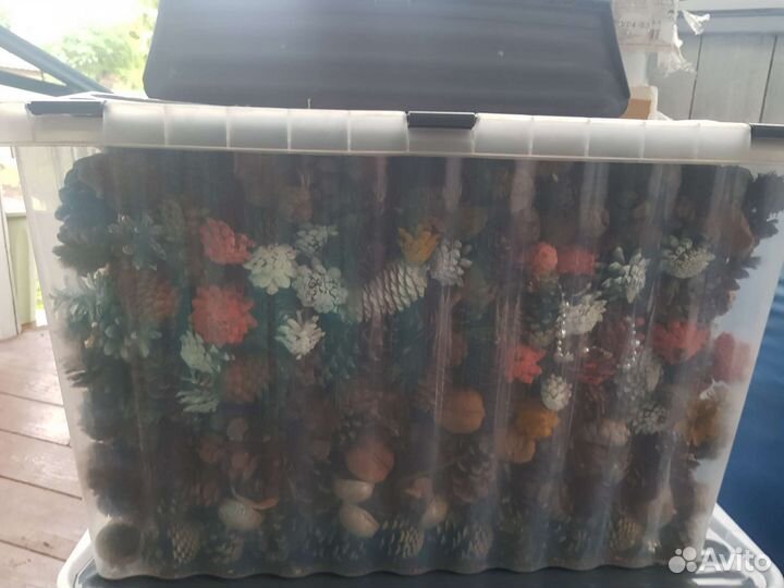 Шишки разные