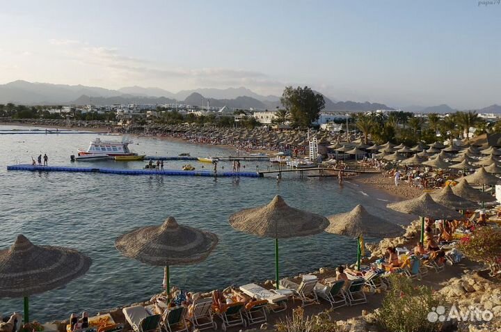 Турпоездка Египет, Наама Бей на 11 нч все вкл-но