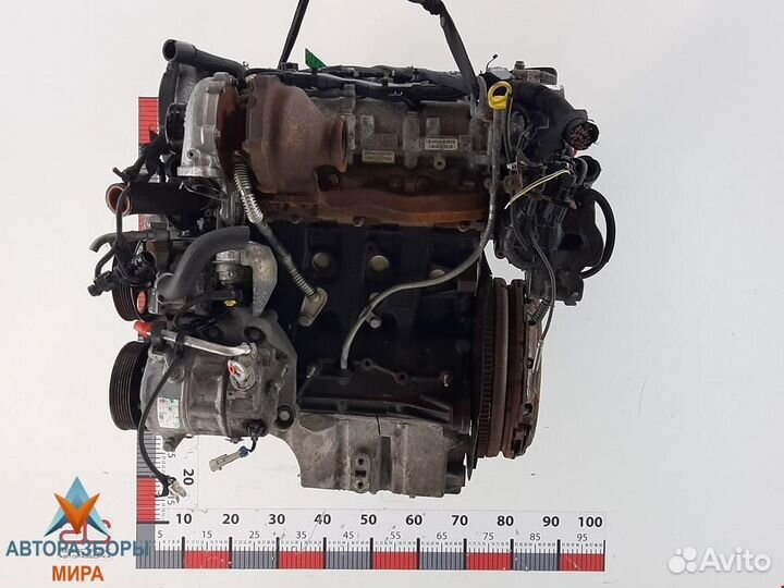 Тнвд Opel Insignia (A) 2009 55597787