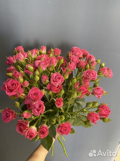 Кустовая роза