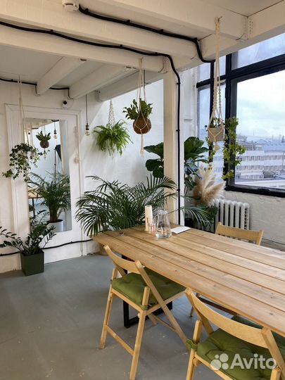 Магазин растений и флорариумов