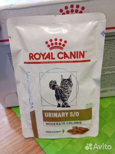 Влажный корм для кошек royal canin urinary s/o