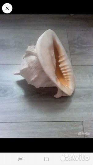 Дикорации для аквариума