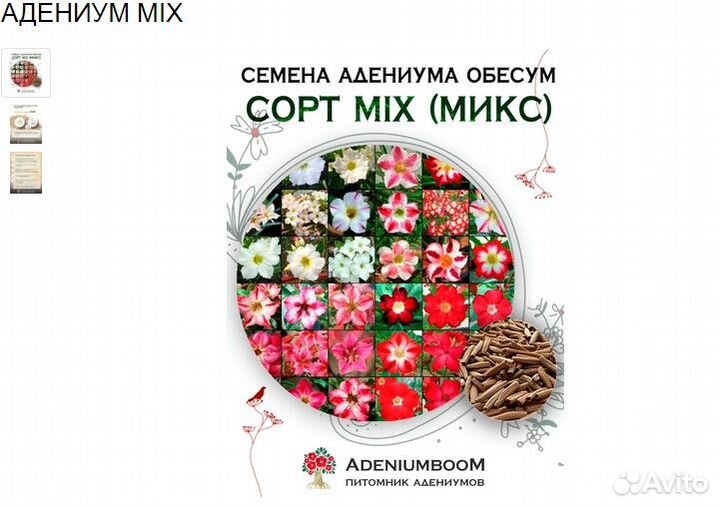 Сеянцы адениумов