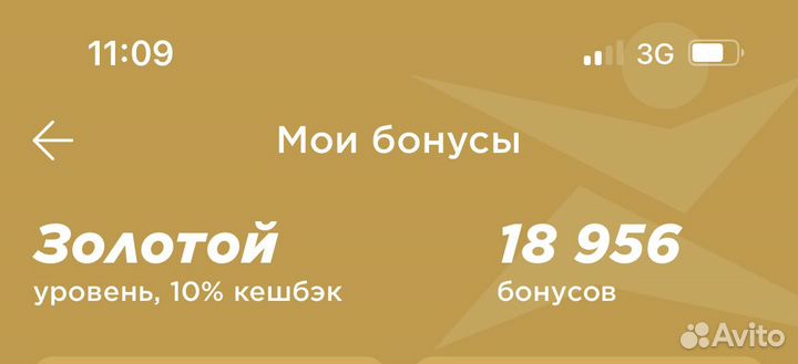 Бонусы спортмастер