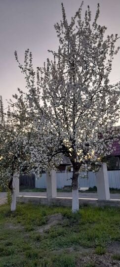 Дом 165 м² на участке 7,9 сот.