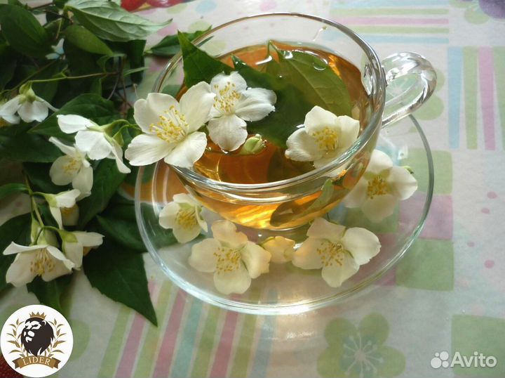 Зелёный чай с жасмином оптом