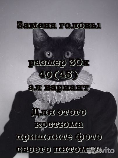 Кошки одежда костюмы