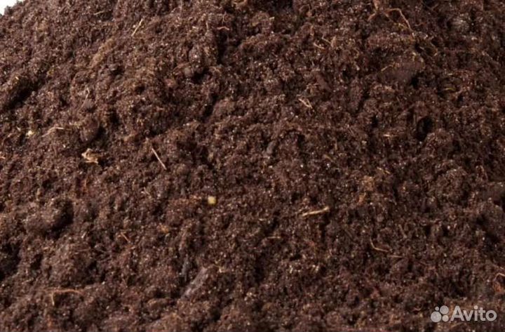 Конский перегной, навоз