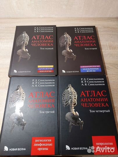Атлас анатомии человека синельников