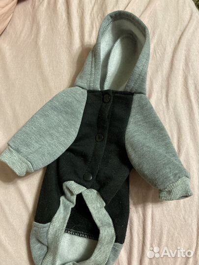 Одежда для собак