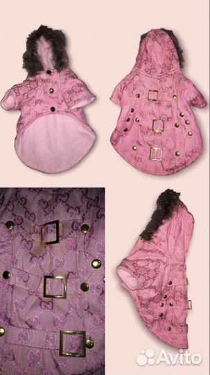 Одежда для собак