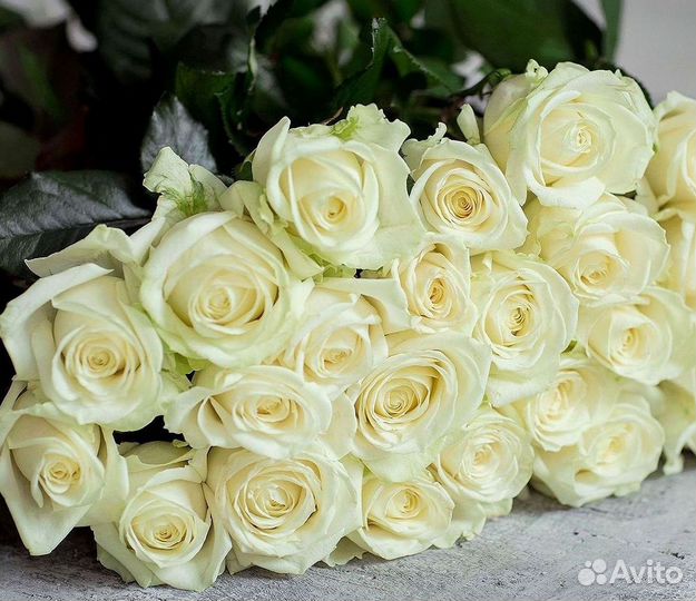 101 Роза Цветы Букеты 51 25 Роз Доставка