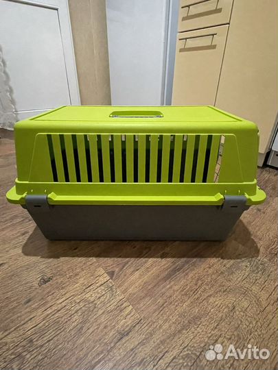 Переноска в аренду