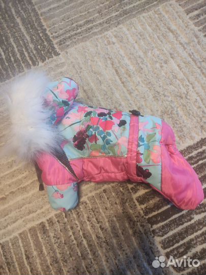 Одежда для маленьких собак зимняя