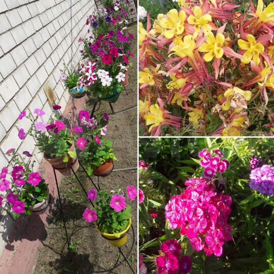 Дом 33,3 м² на участке 35 сот.