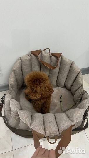 Сумка-переноска-автокресло