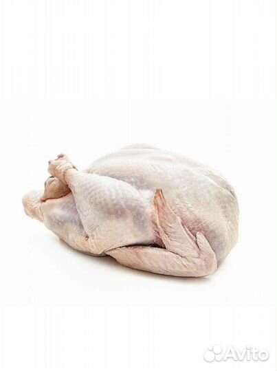 Индейка тушка, филе грудки