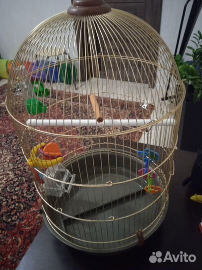 Клетка для крупного попугая