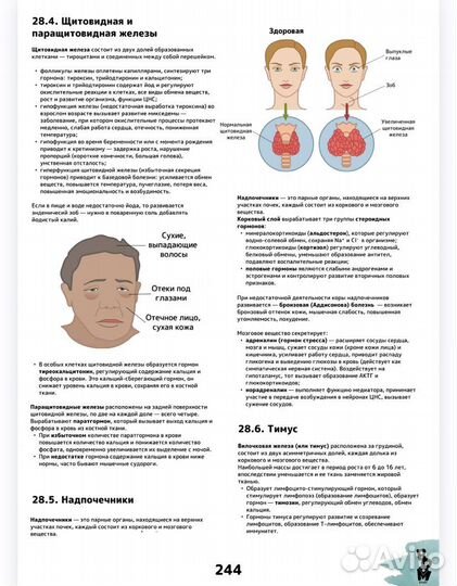 Полные конспекты егэ биолгия Boomstudy
