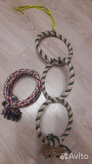 Кольца для попугаев