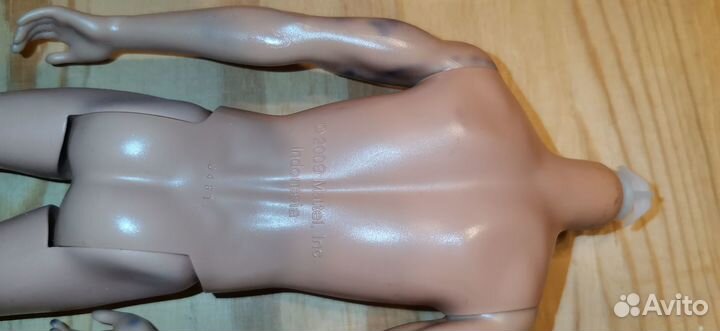 Кен маттел, тела (одним лотом)