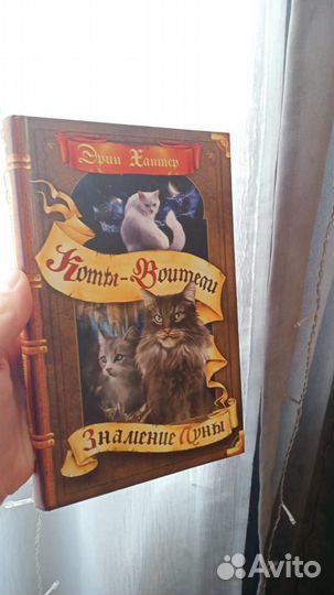 Коты воители