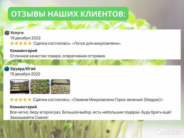 Микрозелень