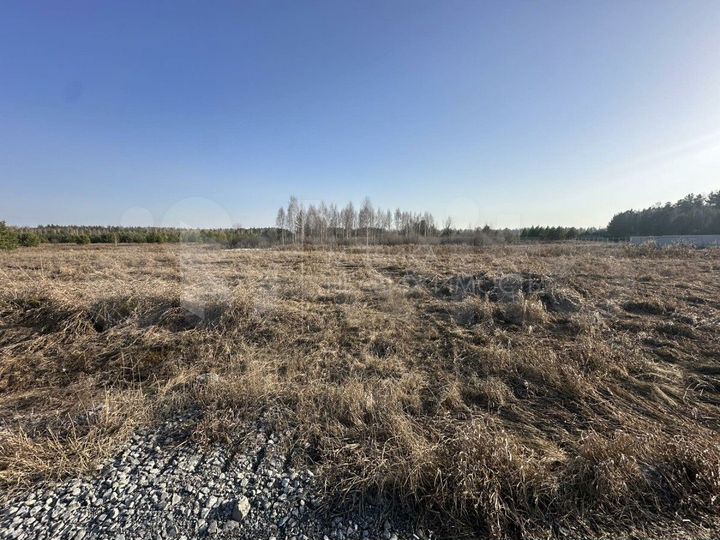 Участок 10 сот. (СНТ, ДНП)