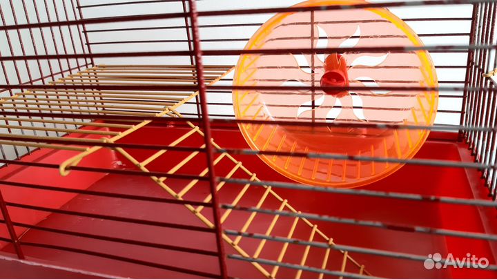 Клетка для джунгарского хомяка