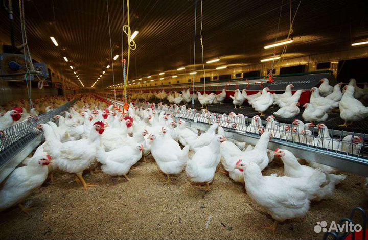 Подсобный рабочий