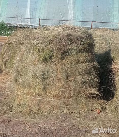 Сено в рулонах
