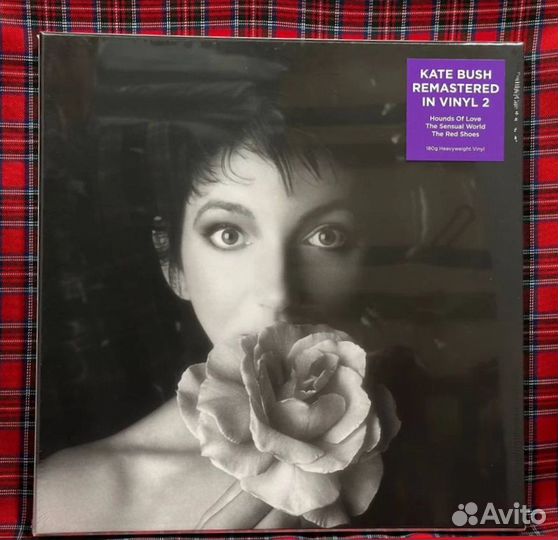 Kate Bush – Remastered In Vinyl II (Box Set)