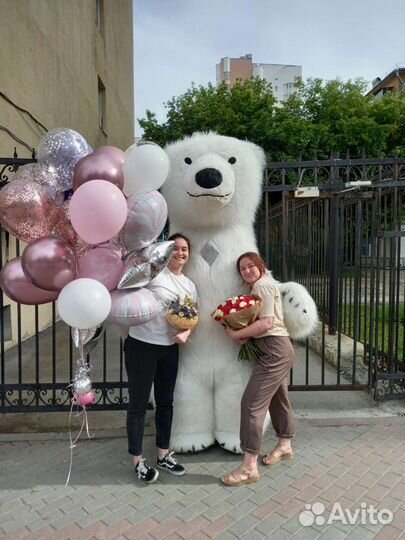 Мишка Тедди, белый мишка, панда