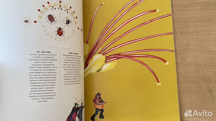 Брошюра Цирк дю Солей