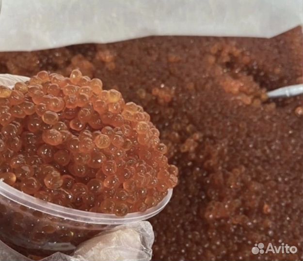 Красная икра горбуши