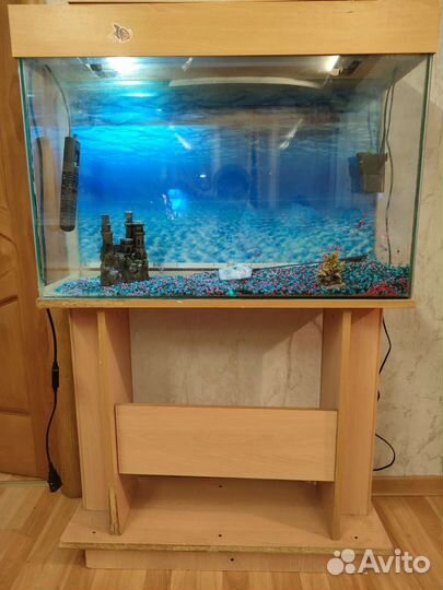 Аквариум и Украшение для аквариума