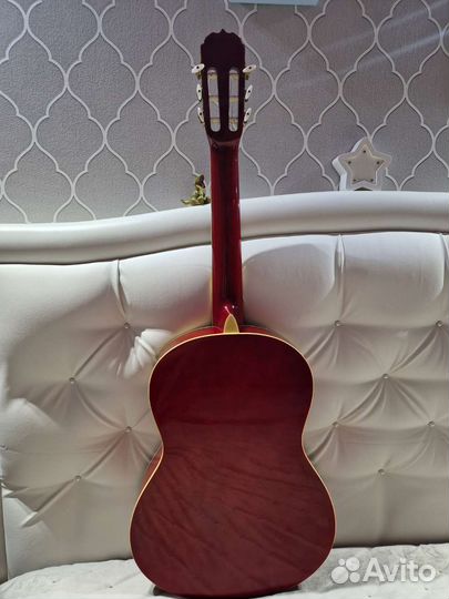 Гитара Euphony EC-100twrs