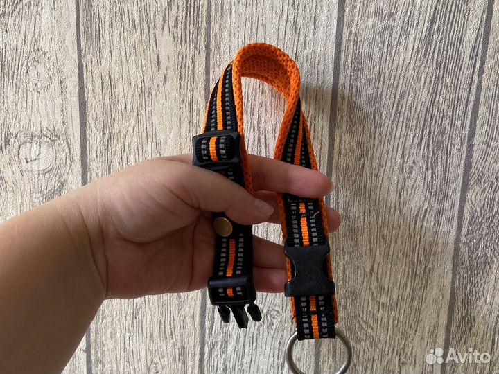 Ошейник для собак