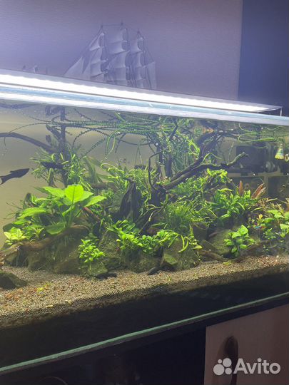 Аквариумный комплекс 225 литров в сборе