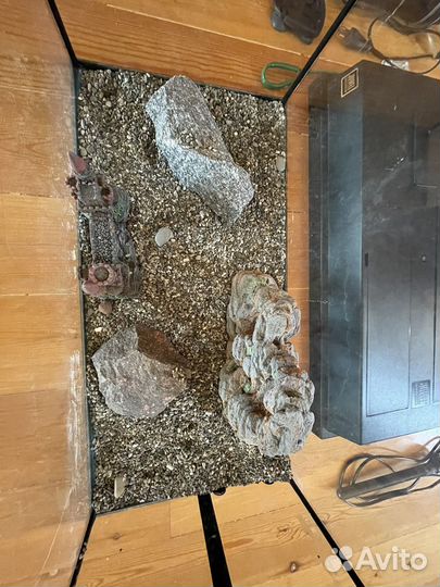 Большой аквариум