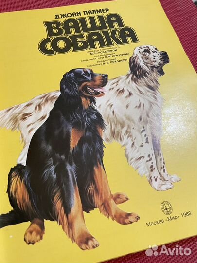 Джоан Палмер:Ваша собака